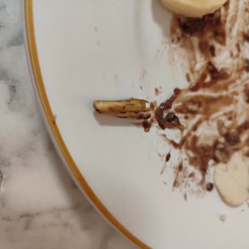 Hazır Mozaik Pasta Ürününden Tahta Parçası Çıktı, Para İadesi Talep Ediyorum