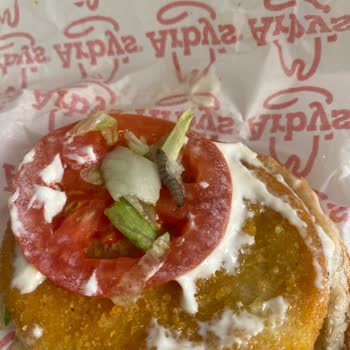 Siparişimde Solucan Çıktı, İade Taleplerim Reddedildi