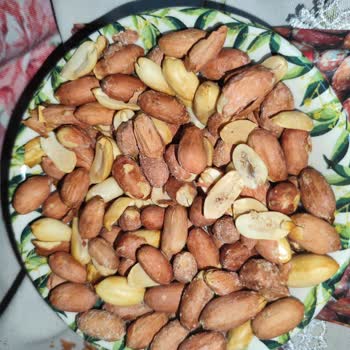 Satın Aldığım Fıstıkta Kurtlanma Sorunu Ve Ürün Değişim Talebi