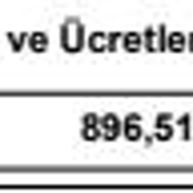 8 Saatlik Gecikmeye 896 TL Faiz Ve Çözüm Sunulmaması Mağduriyetimi Artırdı