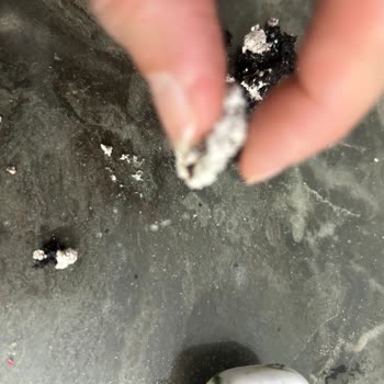 Aldığım Pastadan Saç Kılı Çıktı, Hijyen Sorunu Yaşadım