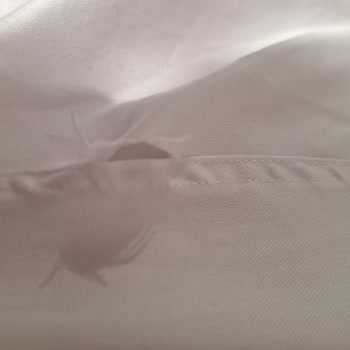 İlk Giyişte Yırtılan Gömlek İçin Mağazaya Gitmeden Çözüm İstiyorum