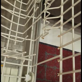 Miele Dishwasher Racks Rusted Quickly, Replacement Costs Nearly a New Machine