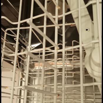 Miele Dishwasher Racks Rusted Quickly, Replacement Costs Nearly a New Machine