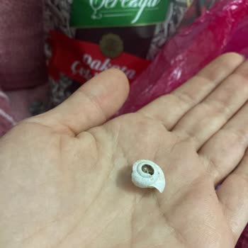 Çekirdek Paketinden Sümüklü Böcek Çıkması Hijyen Ve Sağlık Endişesi Yarattı