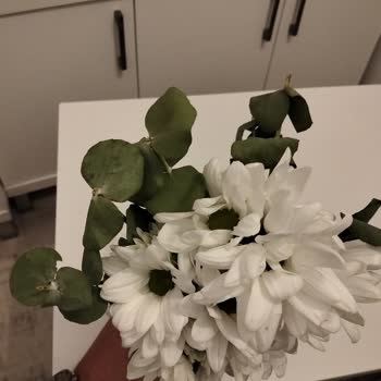 Sipariş Edilen Çiçek Görselinden Farklı Geldi, Teslimat Ve Destek Süreci Hayal Kırıklığı Yarattı