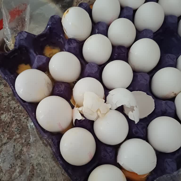 Eksik Ürün Ve Kırık Yumurta Teslimatı Sonrası İade Sorunu Yaşadım