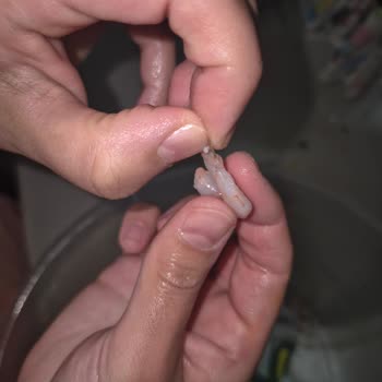 Tarım Kredi Kooperatif Market Hazır Karides Ürünü Temizlenmemiş Çıktı