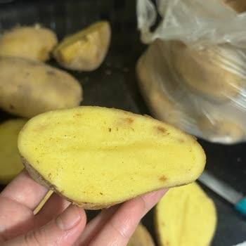 A101'den Aldığım Patatesler Bozuk Çıktı, İade Kabul Edilmedi