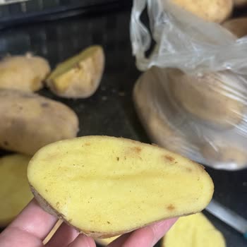 A101'den Aldığım Patatesler Bozuk Çıktı, İade Kabul Edilmedi