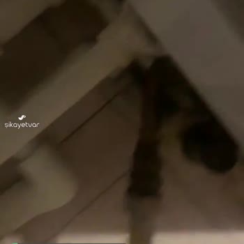 Vaillant Pişmanlığı Yetkili Servisin!
