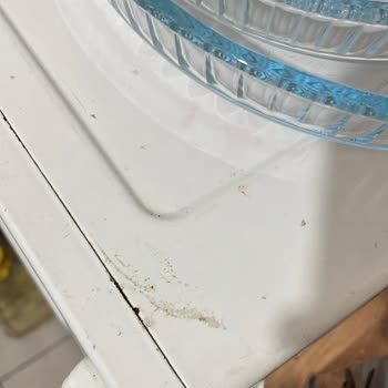 Eleman Yönlendir Ev Temizliği Hizmetinde Mağduriyet, Zarar Ve İletişimsizlik Yaşadım