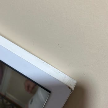 Eleman Yönlendir Ev Temizliği Hizmetinde Mağduriyet, Zarar Ve İletişimsizlik Yaşadım