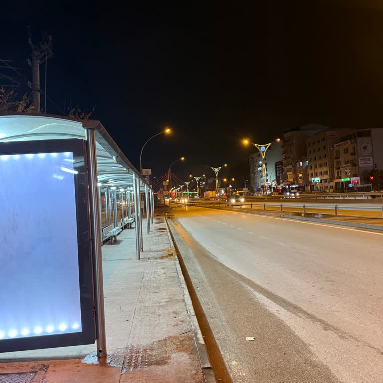 Otobüs Durağında Beklerken Şoför Durmadı Evime Gidemeyip Sokakta Kaldım