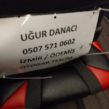 Otobüs Yolculuğunda Sigara, Gecikme Ve Güvenlik İhlalleri Nedeniyle Yaşanan Mağduriyet