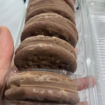 Tarihi Geçmemiş Halley'de Beyaz Benekler Ve Güven Sorunu