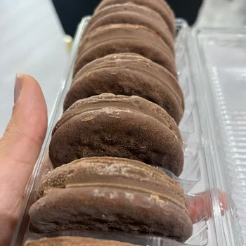 Tarihi Geçmemiş Halley'de Beyaz Benekler Ve Güven Sorunu