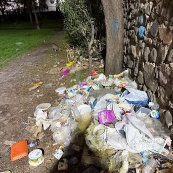 Bornova Ergene Mahallesi'nde Süregelen Temizlik Sorunu Ve Belediyeden Çözüm Beklentisi