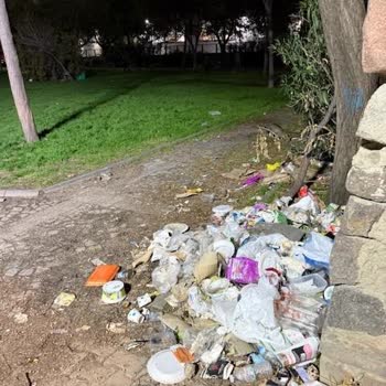 Bornova Ergene Mahallesi'nde Süregelen Temizlik Sorunu Ve Belediyeden Çözüm Beklentisi