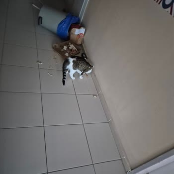 Kredi Ve Yurtlar Kurumu Kız Yurdunda Temizlik Yemek Ve Oda Koşullarında Bitmeyen Sorunlar