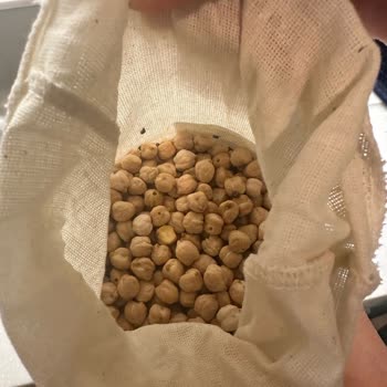 Satın Aldığım Nohudun İçinden Böcek Çıktı, İade Ve Özür Talebim Karşılanmadı