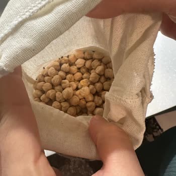 Satın Aldığım Nohudun İçinden Böcek Çıktı, İade Ve Özür Talebim Karşılanmadı