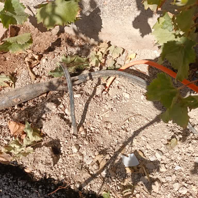 Kopan İnternet Kablosu Nedeniyle 14 Gündür Bağlantı Yok