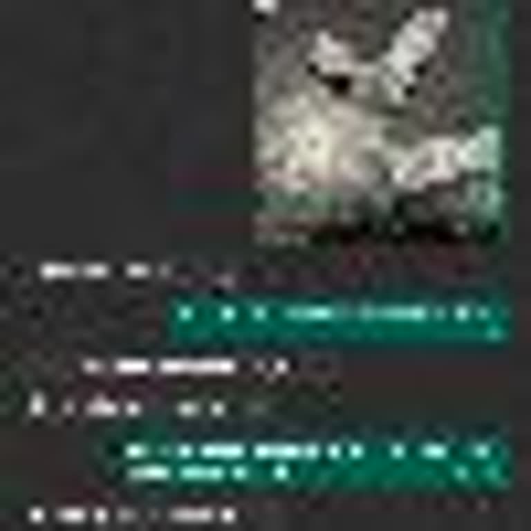 Şirketimize Yapılan Asılsız Yorumlarla İtibarımız Zedeleniyor