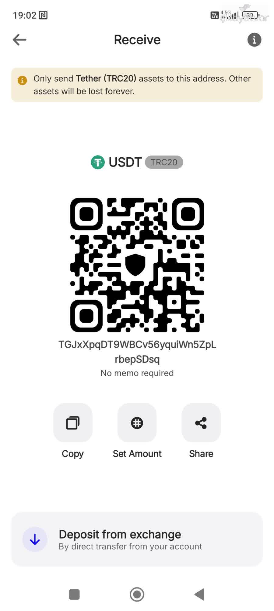 My USDT Transfer Still Pending on Trust Wallet After 15 Days - Xolvie