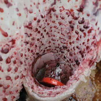 Kırık Gelen Ürünler Ve İletişimsizlik Mağduriyet Yaşattı