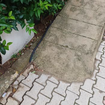 Türk Telekom Fiber Altyapı Çalışmasında Uygunsuz Kablo Çekimi Ve Çevreye Zarar