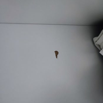 Geç Teslimat Ve Hasarlı Ürünlere Karşı İlgisiz Hizmet