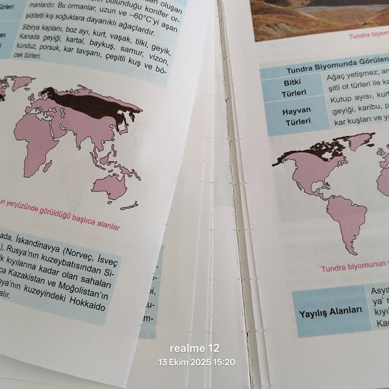 Aldığım Coğrafya Kitabının Sayfaları Kısa Sürede Tamamen Ayrılmaya Başladı