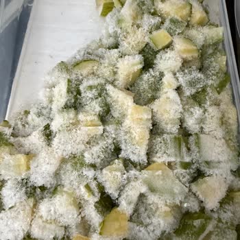 Yoğun Buzlanma Sorunu Çözülemiyor, Müşteri Hizmetleri Yetersiz Kaldı