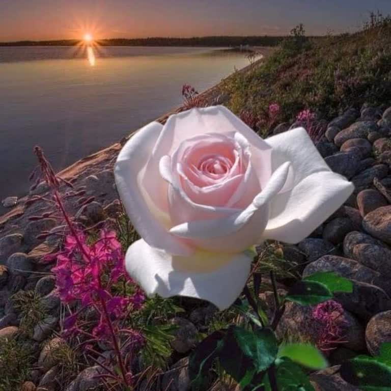 ING Bank Müşteri Hizmetlerine Ulaşmak Neden Bu Kadar Zor