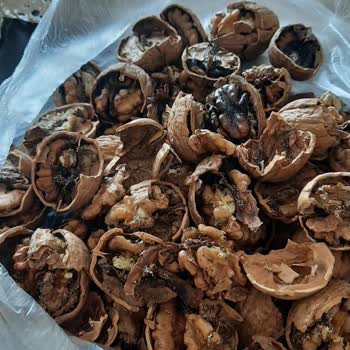 A101 Esentepe Mağazasında Bozuk Ve Kurtlu Ürünler: Tazelik Ve Güven Sorunu