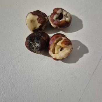 Aldığım Kuruyemişlerin Taze Olmaması Ve Bozuk Çıkması