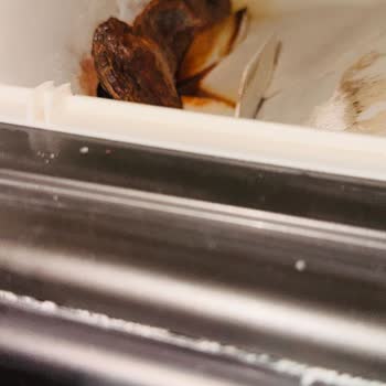 Çamaşır Makinemin Deterjan Haznesinde Unutulan Metal Parça Paslanmaya Yol Açtı