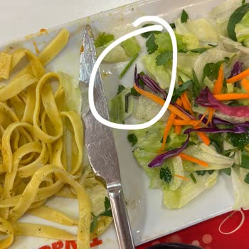 Tavuk Salatada Tırtıl Çıktı, Çalışanlar İlgisiz Kaldı