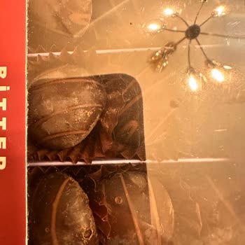 Kahve Dünyası Bozulmuş Çikolatalı Badem Ezmesi İçin Değişim Talebim Dikkate Alınmadı