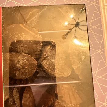 Kahve Dünyası Bozulmuş Çikolatalı Badem Ezmesi İçin Değişim Talebim Dikkate Alınmadı