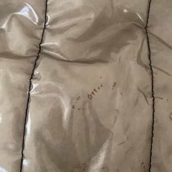 Çantada Oluşan Lekeler Ve Yetersiz Müşteri Desteği