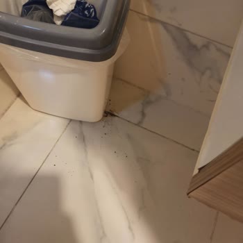 Hijyen Sorunları Ve Kötü Hizmet Nedeniyle Ücret İadesi Talebim