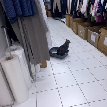 Mağazada Süregelen Koku Ve Hijyen Sorunu İçin Çözüm Bekliyorum