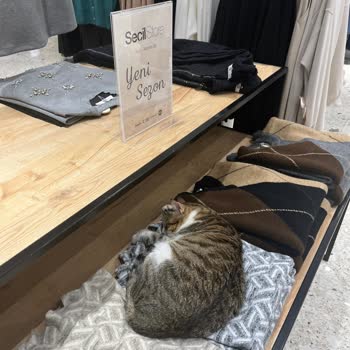 Mağazada Süregelen Koku Ve Hijyen Sorunu İçin Çözüm Bekliyorum