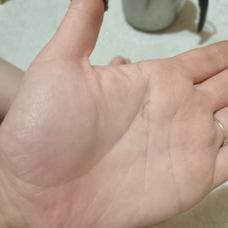 Eti Browni Classic'te Yabancı Madde Şoku: Sağlığım Tehlikede Mi?