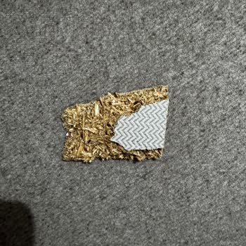 Garantili Yatak İlk Günden Sorunlu, Ücretli Servisle Mağdur Edildim