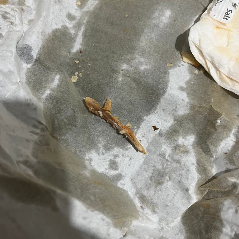 Siparişimde Kemik Çıktı, Yorumum Yayımlanmadı