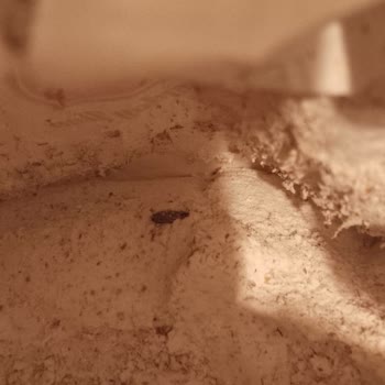 Kurtlanmış Un Teslimatı Ve Çözülmeyen İade Talebi Nedeniyle Mağduriyet