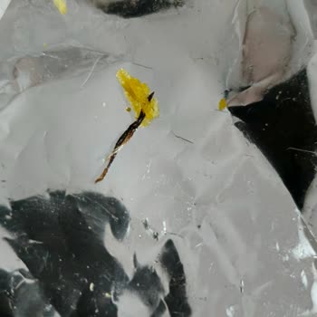 Cipsin İçinden Yabancı Madde Çıkması Sağlığımızı Tehdit Etti